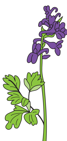 0402rd8o-0b0f-261x545.png