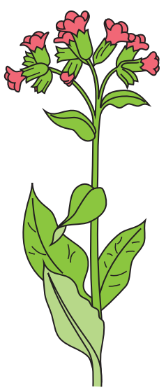 0402rd8u-c2ec-238x557.png