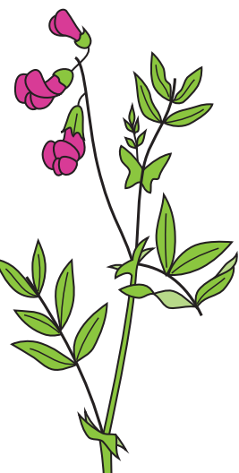 0402rd9c-19ce-267x528.png