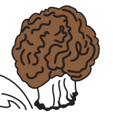 0402rd9y-d2c0-165x169.png