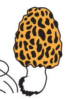 0402rdah-c349-145x203.png