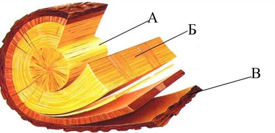 0402rdmz-cbe3-940x454.png