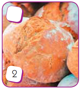 0402revb-aead-283x309.png