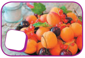 0402rf0g-2afa-271x186.png