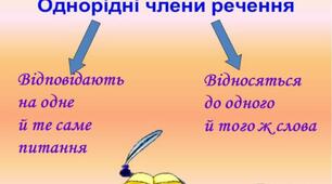 Спостерігаю за однорідними членами речення