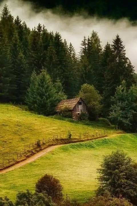 Возможно, это изображение природа и туман