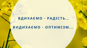 Презентація до твору Е.Портер "Полліанна"