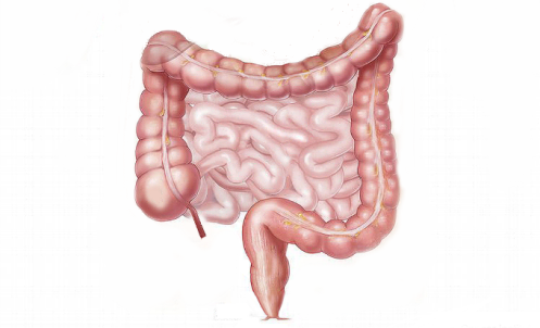 0402ronw-ebe8-497x302.png
