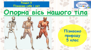 Презентація "Опорна вісь нашого тіла". "Пізнаємо природу" 5 клас НУШ.