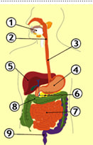 0402rswb-3fb0-131x205.png