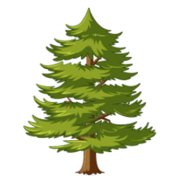 0402rtau-9937-250x250.png