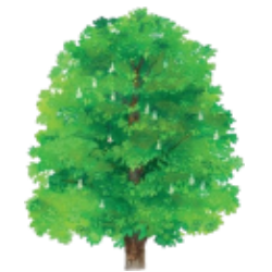 0402rtaw-1da1-250x250.png