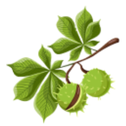 0402rtb4-4a44-250x250.png