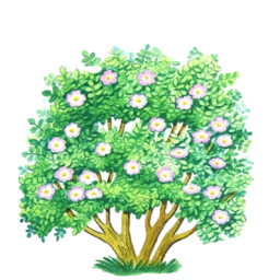 0402rtba-c512-256x256.png