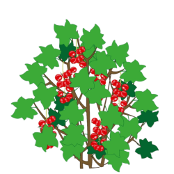 0402rtbc-c88f-250x250.png