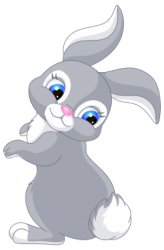 0402ru81-59d0-164x250.png