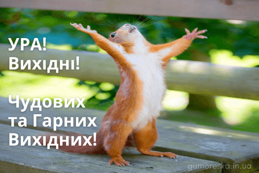 0402ru9c-3fc9-576x384.png