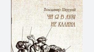 Курсова робота Жанрово-стильові особливості повісті Володимира Шкурупія «Чи я в лузі не калина»