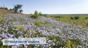 Пам’ятки природи на Дніпровщині | Виховна година з екологічного виховання