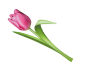 0402rx5p-be6c-286x233.png