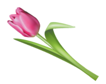 0402rxf4-e107-213x170.png