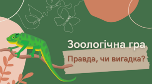 Презентація_Зоологічна гра "Правда чи вигадка?"