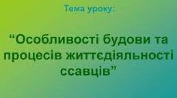 Особливості внутрішньої будови та процесів життєдіяльності ссавців