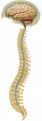 0402s2cx-e9f4-137x392.png