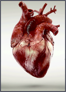 0402s2js-8b7f-213x296.png