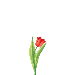 0402s2vr-276b-250x250.png