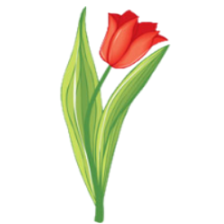 0402s2vx-4051-250x250.png