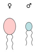 0402s2xr-6ae4-128x177.png
