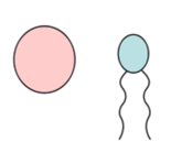 0402s2xw-c0b9-155x139.png