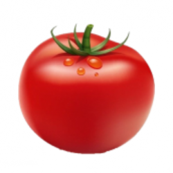 0402s2zn-2063-250x250.png