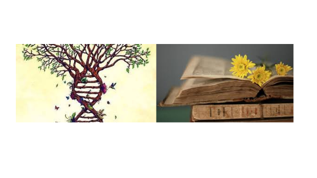 0402s31l-4bc7-640x360.png