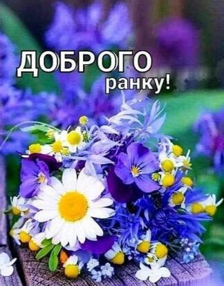 Добрий ранок картинки - Побажання доброго ранку і гарного дня красиві - З добрим ранком! Мирного неба! привітання прикольні українською