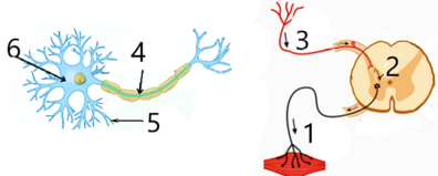 0402s6nv-2772-396x159.png