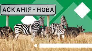 Аудіювання "Асканія Нова"