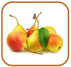 0402s919-601a-146x137.png
