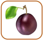 0402s91t-6054-144x136.png
