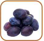 0402s91x-cce1-145x134.png