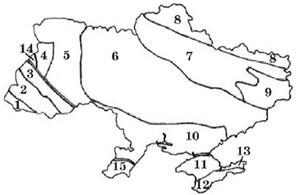 0402sc2v-9b66-296x195.jpg