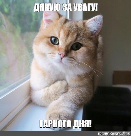 Мем: "ДЯКУЮ ЗА УВАГУ! ГАРНОГО ДНЯ!" - Все шаблоны - Meme-arsenal.com