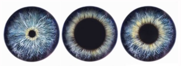0402sfke-872a-613x224.png
