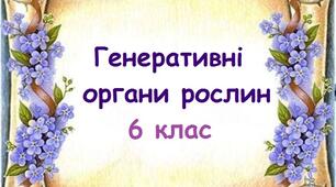 Генеративні органи рослин