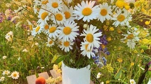 А життя мов дощ, пройде й не помітиш,  Відлетить удаль, ніби й не було.