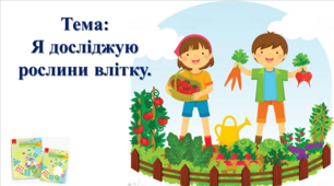 Я досліджую рослини влітку. І. О. Большакова, М. С. Пристінська. 2 клас. ІІ частина
