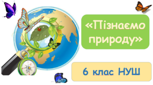 Навчальна програма інтегрованого курсу «Пізнаємо природу» 6 клас для закладів загальної середньої освіти (за модельною програмою автор Коршевнюк Т.В.) + календарне планування
