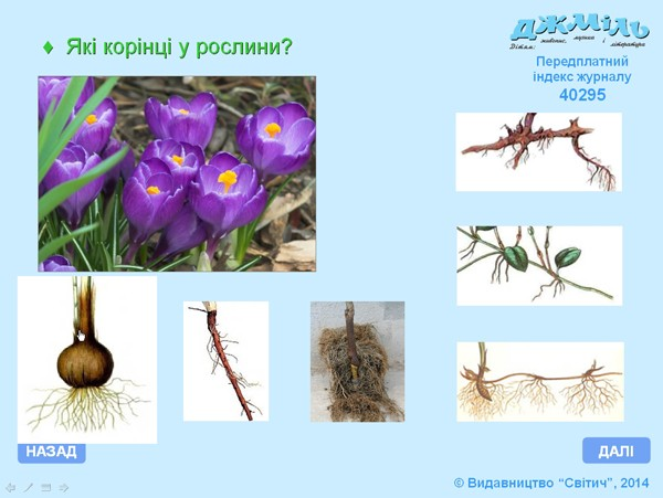 0402smhd-43a5-600x451.png