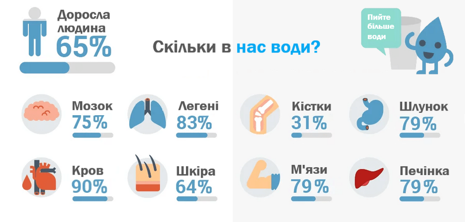 0402so2c-c046-940x449.png